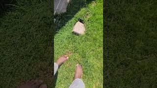 Grounding Benefits Exercises Meditation Naturing earthing for home  Barefoot Walking Workout [upl. by Lorelle]