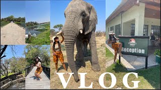 TravelVLOG Antelope Park IT WAS BEYOND MY EXPECTATIONS Explore Zimbabwe With Me [upl. by Hoes263]