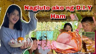 Happy New Year mga Ka Mangyan  Nagluto ako ng Ham sa kubo  Ka Mangyan Vlogs [upl. by Etnovaj151]