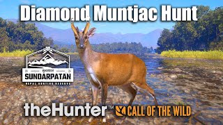 Diamond Muntjac Hunt  theHunter Call Of The Wild [upl. by Yde174]