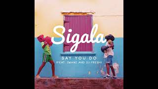 Sigala  Say You Do feat Imani Williams and DJ Fresh Instrumental [upl. by Rima568]