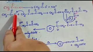 Class 12 Cinnamic acid Perkin condensation aldehyde  ketone and carboxylic acid [upl. by Grogan]