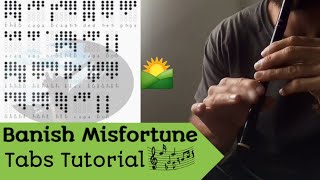 Banish Misfortune on Tin Whistle D  TABS Tutorial [upl. by Nnyrb]