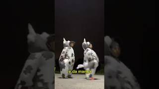 If you e DA MANGA naoflopa zedamanga dance [upl. by Brill2]