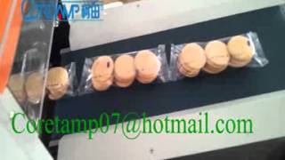 Cookies Biscuits Horizontal Packing MachineryFlow wrapping Machine【2014 Top sell】 [upl. by Zela878]