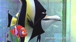 quotReunionquot clip  Finding Nemo [upl. by Kremer]