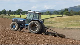 Cultivating for Seeds with Vintage Ford 7840 Old Ones are the Best Ones [upl. by Naitsirhc]