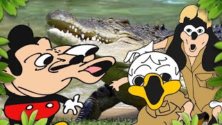 Mokeys show  427  Crocodile [upl. by Hplodur]