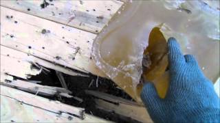 Martini Henry Rifle DESTROYS Ballistics Gel and Bone [upl. by Lyn]