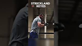 Sean Strickland vs Dominick Reyes sparring and training 🥊 [upl. by Noemi364]