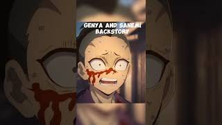 Genya and Sanemi Backstory  Demon slayer [upl. by Anifur141]