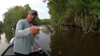 Sacaliat and bream fishing down in South Louisiana [upl. by Pena]