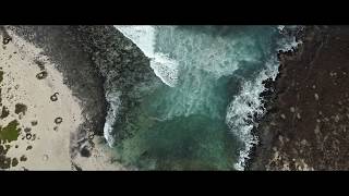 Blanco White  Kauai Oo Official Video [upl. by Sanjay]