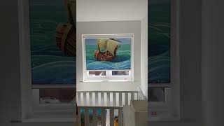 Lex Blinds  Photo Roller Blinds  How to decorate kids room windows [upl. by Athena63]