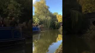 Narrowboat cruises past Bridge 84 and a fallen tree obstructs the Grand Union canal towpath canal [upl. by Mateo]