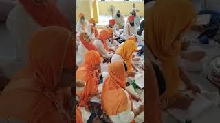 Katha Sis ganj sahib Amrit Sanchar [upl. by Cranford]