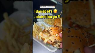 Best Beef And Chicken Burger In Islamabad Pakistan 🇵🇰 foodshorts streetfood pakistanifood [upl. by Yrovi553]