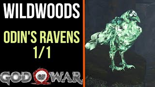 God of War All Odins Ravens in Wildwoods  Odins Ravens 11 [upl. by Nedrah]