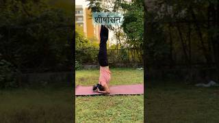 Shirshasan shirshasana trending sortsfeed trendingshorts youtubeshorts [upl. by Curley927]