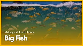 Big Fish  Visiting with Huell Howser  KCET [upl. by Linder]