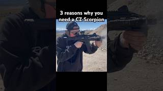 3 Reasons why you need a CZ Scorpion [upl. by Neibart]