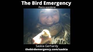 081  The Plainswanderer with Saskia Gerhardy [upl. by Nilahs]