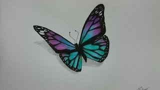 How to Draw a Realistic Butterfly with Colored Pencils [upl. by Eisinger]