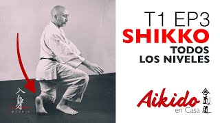 Aikido en Casa T1 EP3 Shikko [upl. by Ayotnom]