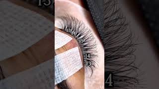 Master the Art of Eyelash Extensions  StepbyStep Tutorial [upl. by Nafri]