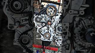 Timing Belt Replace shorts trending india reels video short automobile [upl. by Shwalb]