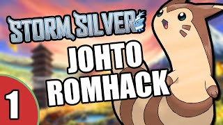 Its The Start Of Another Hardcore Nuzlocke Of A Drayano Rom Hack  Pokemon Storm Silver [upl. by Rriocard992]