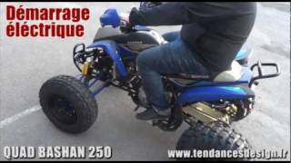 QUAD BASHAN 250CC HOMOLOGUE ROUTE [upl. by Oberg710]