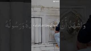 Masnoon Dua After Wazu Ablution  Easy amp Powerful Supplication senseislam theprophetspath [upl. by Leinad226]