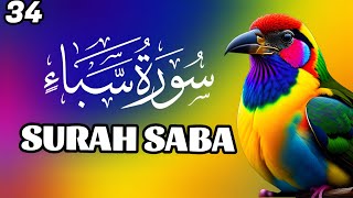 Surah Saba Complete with Arabic Beautiful Quran Recitation  flowers rose nature Yaseen Rahman Yasin [upl. by Ekalb245]