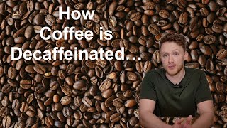 Coffee Decaffeination Explained [upl. by Einaffyt]