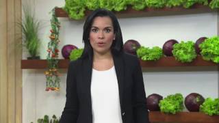 Agricultura al Día 17 de enero de 2017 [upl. by Corinne]