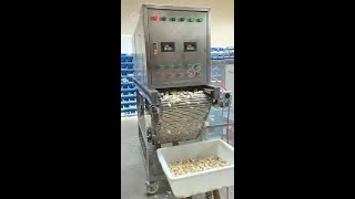 How Does A Garlic Peeling Machine Work Garlic Peeling Machine Commercial [upl. by Luke]