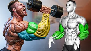 ARM DAY Biceps Triceps and Forearms Dumbbell Only [upl. by Ahsinal]