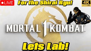 CRAZY NEW MORTAL KOMBAT 1 UPDATE FOR THE SHIRAI RYU Takeda is FINALLY here Lets Lab [upl. by Shaum956]