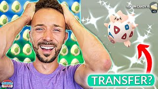 Hatch 200 EGGS or TRANSFER All Shiny Togepi Challenge [upl. by Huskey748]