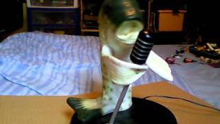 Billy Bass standing singing fish [upl. by Ida]