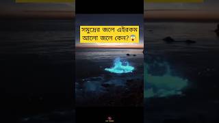 What is Bioluminescence😱 Chennai Bioluminescence ECR Beach [upl. by Parke]