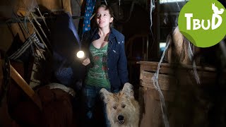 Vampire Folge 26  Tiere bis unters Dach  SWR Plus [upl. by Acyssej]