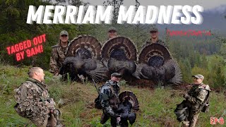 MERRIAM MADNESS  Turkey Hunting ACROSS the US  Washington TREATS Us RIGHT Turkey Tour 23 [upl. by Llerrej]