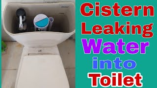 Cistern leaking water Into Toilet [upl. by Yevol]