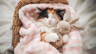 Calm Down Your Hyper Kitten with Deep Sleep Music for Cats  The Sweetest Cat Music Cat Tunes [upl. by Aicaca342]