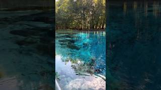 Unbelievable Clear Water in Florida — GILCHRIST BLUE SPRINGS near Gainesville Is UNREAL EXPERIENCE [upl. by Hagi]