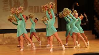 Dance Kids Performing Taylor Swift  Shake it off [upl. by Annairba]