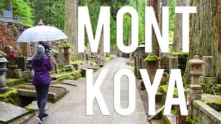 Séjour dans un temple du Mont Koya  VLOG JAPON [upl. by Ladnik]