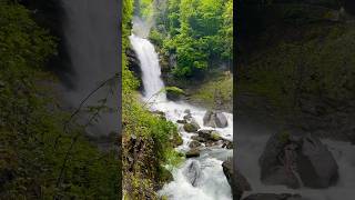 Beautiful Giessbach waterfall in Swiss ♥️🇨🇭 waterfall nature swiss travel [upl. by Seidnac889]